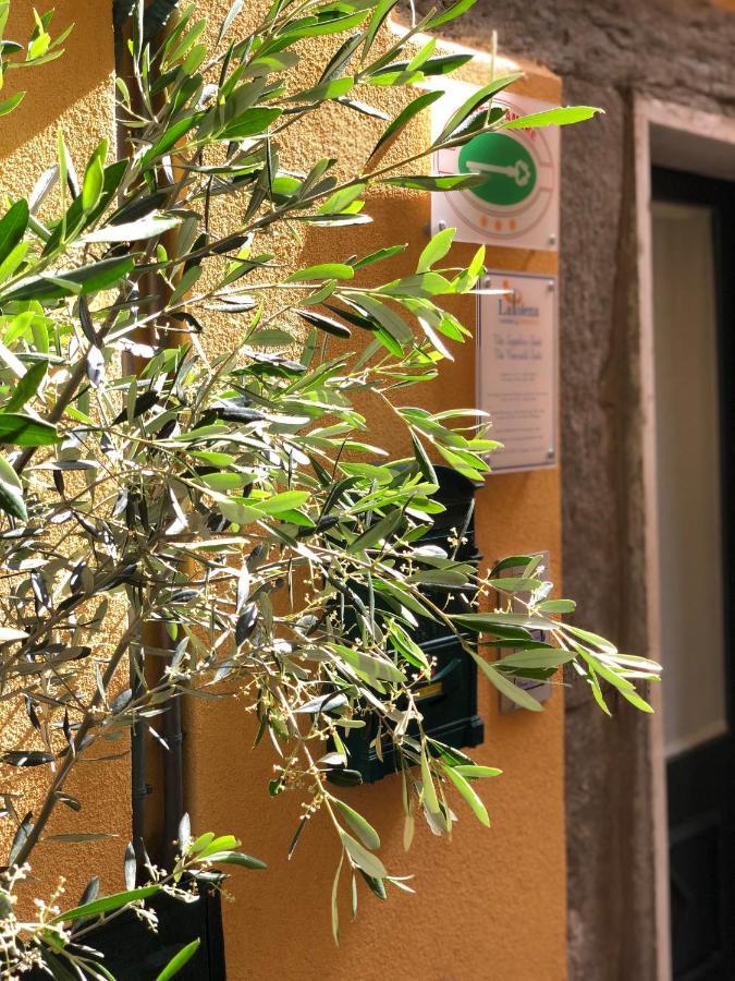 La Polena Camere Vernazza - Suite Vista Mare מראה חיצוני תמונה